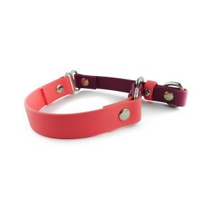 Semi-kink collar for small dogs - used